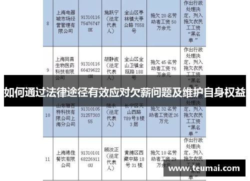 如何通过法律途径有效应对欠薪问题及维护自身权益