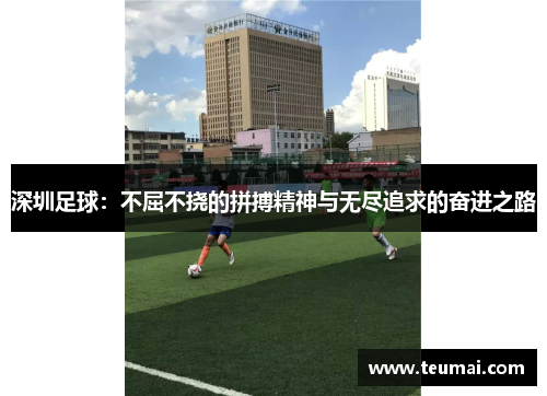 深圳足球：不屈不挠的拼搏精神与无尽追求的奋进之路