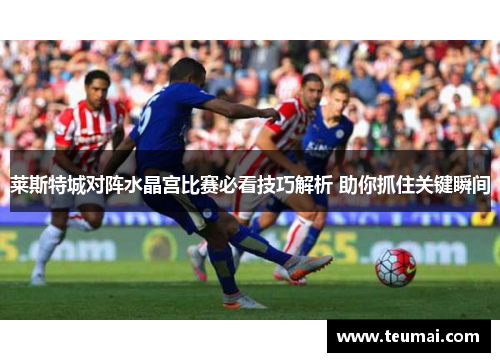 莱斯特城对阵水晶宫比赛必看技巧解析 助你抓住关键瞬间